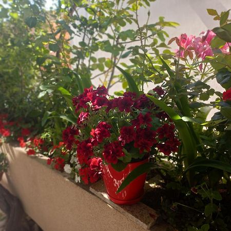 Apartments Gazi Ούλτσιν Εξωτερικό φωτογραφία
