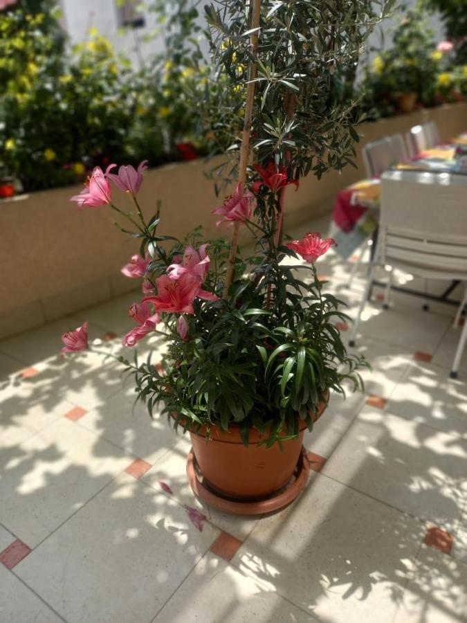 Apartments Gazi Ούλτσιν Εξωτερικό φωτογραφία