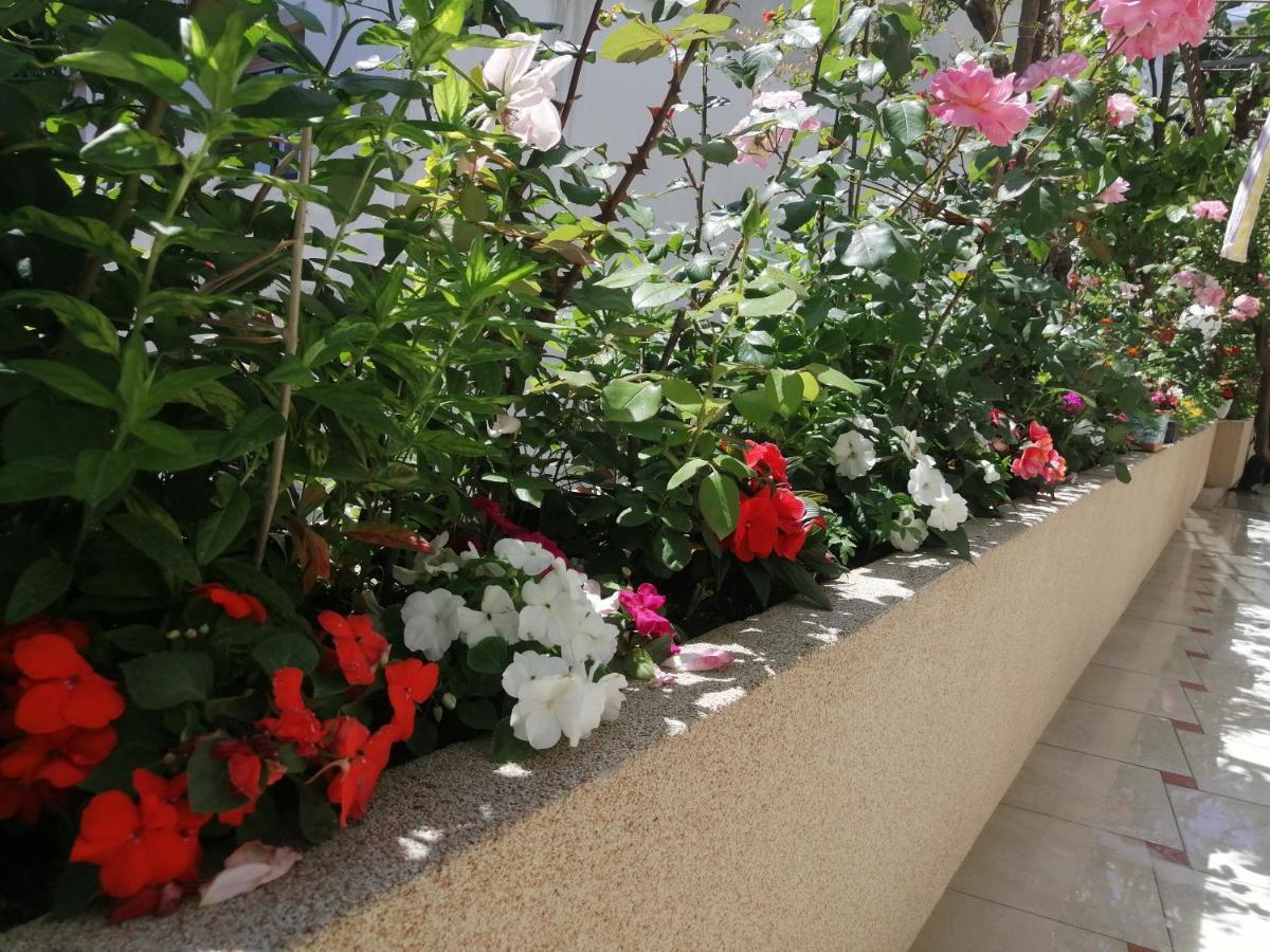 Apartments Gazi Ούλτσιν Εξωτερικό φωτογραφία